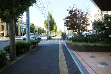 敷地南側の前面道路（東側から）