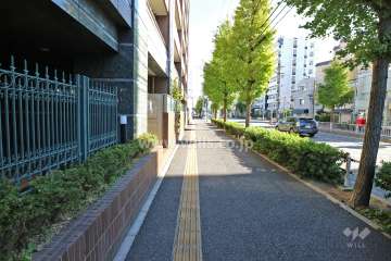 敷地南側の前面道路（西側から）