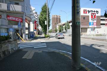 敷地北東側の前面道路(国道153号)