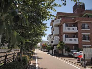 敷地東側の前面道路。桜の名所山崎川沿いです（北から）