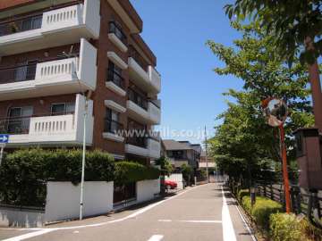 敷地東側の前面道路（南から）