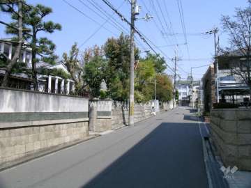 敷地北側、エントランスの前の通り。生け垣の緑がきれいです。