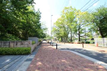 敷地北側の前面道路。.緑豊かな道です。