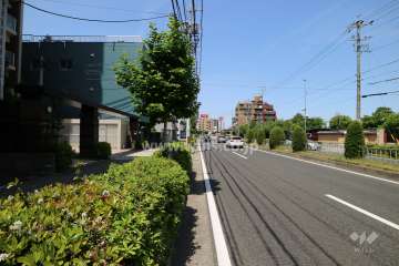 敷地北側の前面道路。二車線の通りです。