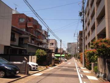 敷地北側の前面道路(東から)