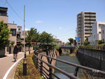 敷地近くの山崎川