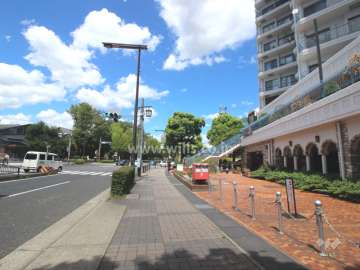 敷地西側の前面道路.