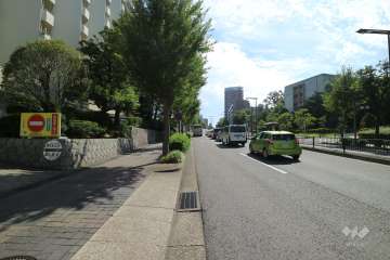 敷地西側の前面道路（北側から）