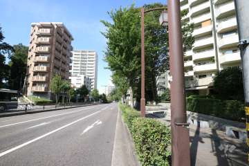 敷地西側の前面道路（南側から）