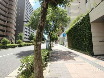 敷地東側の前面道路