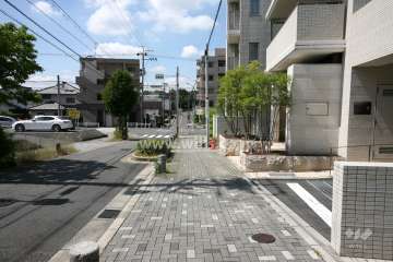 敷地東側の前面道路