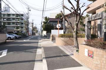 敷地南側前面道路