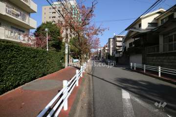 敷地南東側の前面道路（南西側から）