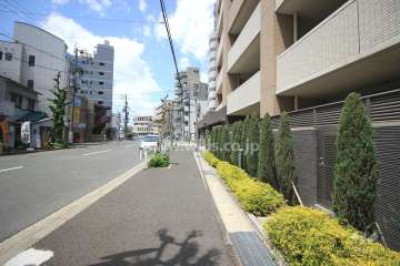 敷地南側の前面道路