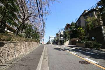 敷地南東側の前面道路（南側から）