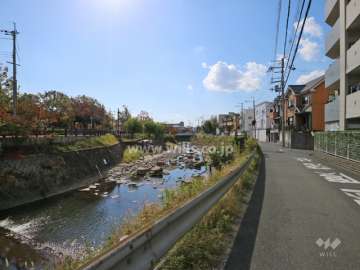 敷地東側を流れる千里川
