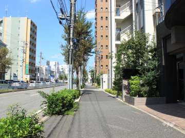 敷地西側の前面道路