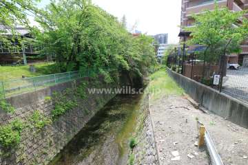 敷地東側は天竺川に面しています。