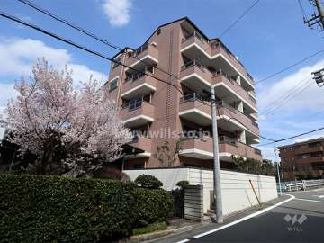 外観(南西側から)と桜