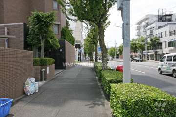 敷地西側の前面道路