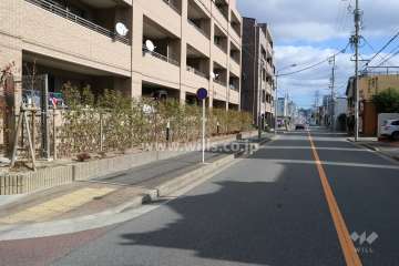 敷地南側の前面道路