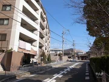 敷地南側の前面道路