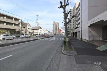 敷地北側の前面道路（西側から）