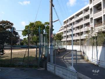 敷地南側の前面道路。道を挟んで、第十五中学校があります。