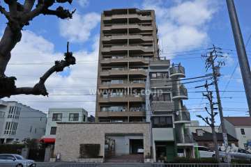 桜山シティハウスの外観（南側から）
