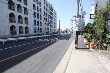 敷地南側の前面道路（西側から）