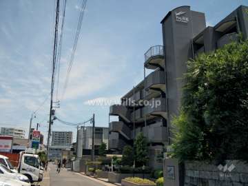 敷地北側の前面道路（西側から）