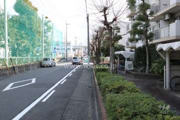 敷地北側の前面道路