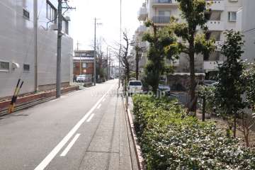 敷地東側の前面道路