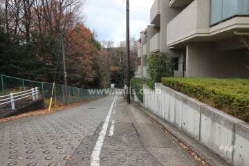 敷地東側の前面道路。坂道に面しています。