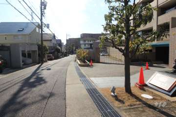 敷地東側の前面道路