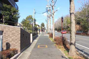 敷地東側の前面道路
