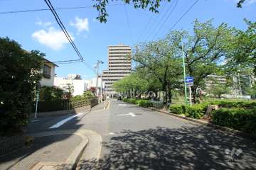 敷地東側の前面道路