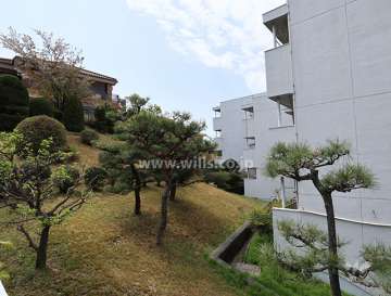 物件の南側植栽