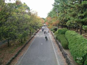 敷地南側を通る北大阪急行「緑地公園」駅と『服部緑地』を結ぶ緑道