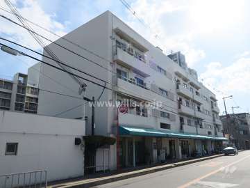 摂津マンションE棟の外観(北西側から)