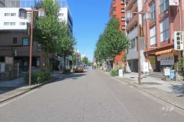 敷地西側の前面道路（南側から）