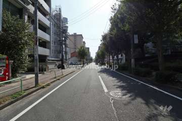敷地西側の前面道路（北側から）