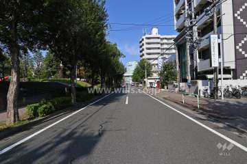 敷地西側の前面道路（南側から）