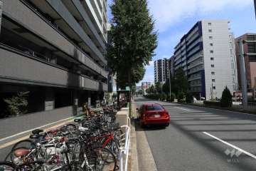 敷地南側の前面道路（西側から）
