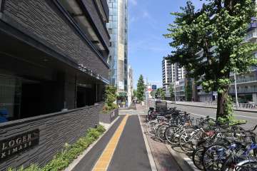 敷地南側の前面道路（西側から）