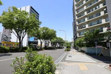敷地西側の前面道路