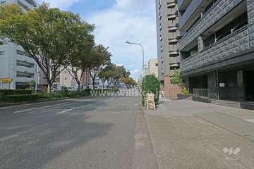 敷地西側の前面道路（南側から）