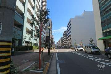 敷地南側の前面道路（西側から）