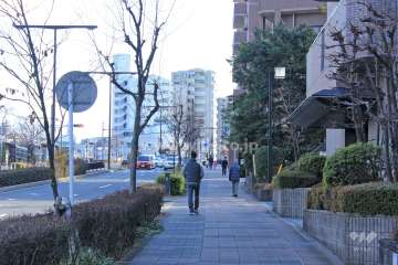 敷地東側の前面道路.人と車の交通量の多い通りに面しています.