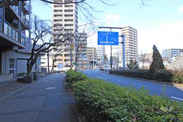敷地東側の前面道路